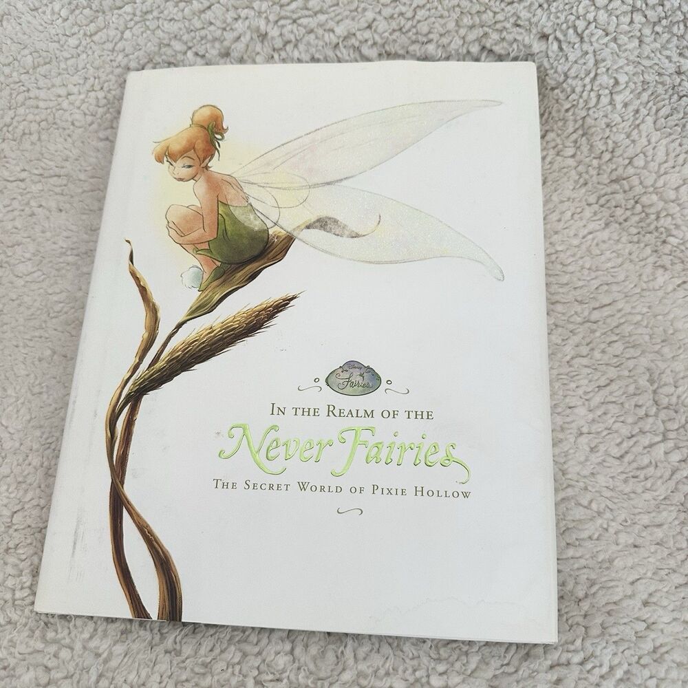 Disney Realm of the Never Fairies The Secret World of Pixie Hollow Book